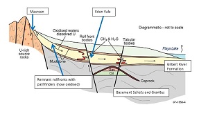 Conceptual Target, Rollfront Cross Section.