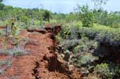 Erosion ditch with loose edges