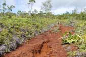 Erosion on track on San Jorge