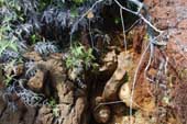 Erosion round large boulder